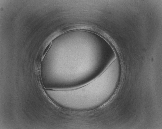 X0000082951377200702011037