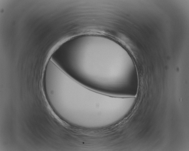 X0000082951379200702011037