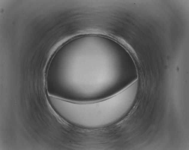 X0000082951380200702011037