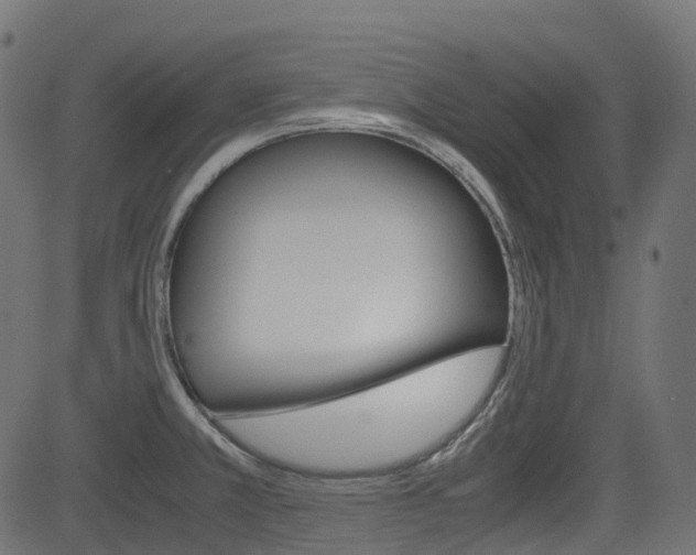 X0000082951381200702011037
