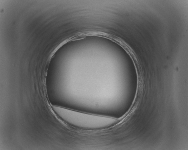 X0000082951385200702011037