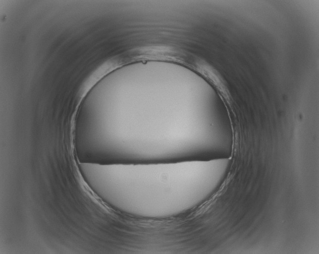 X0000082951386200702011037