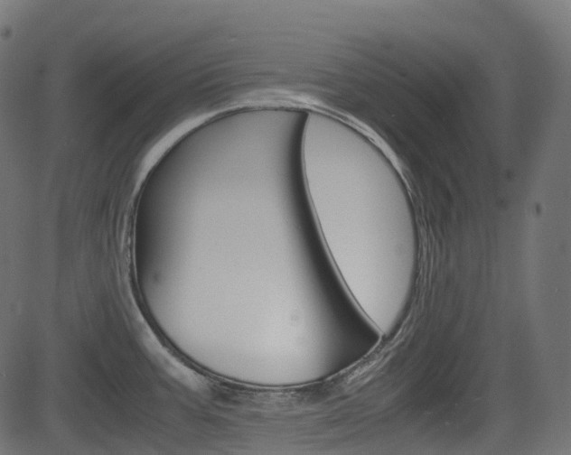 X0000082951387200702011037