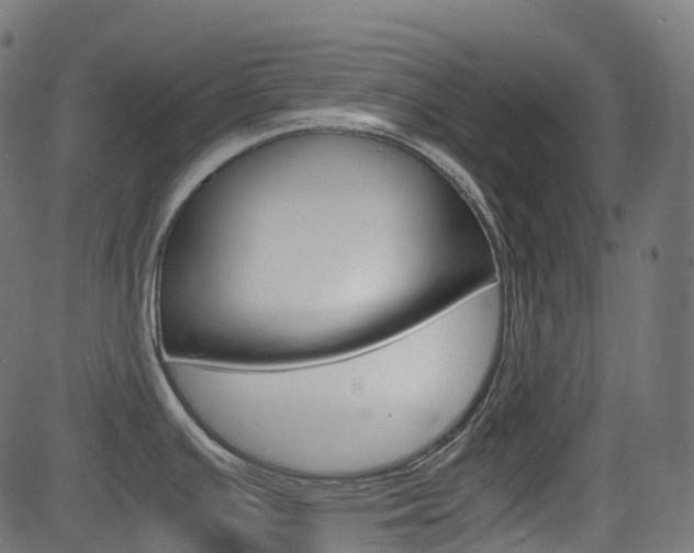 X0000082951391200702011037