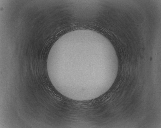 X0000082951394200702011036