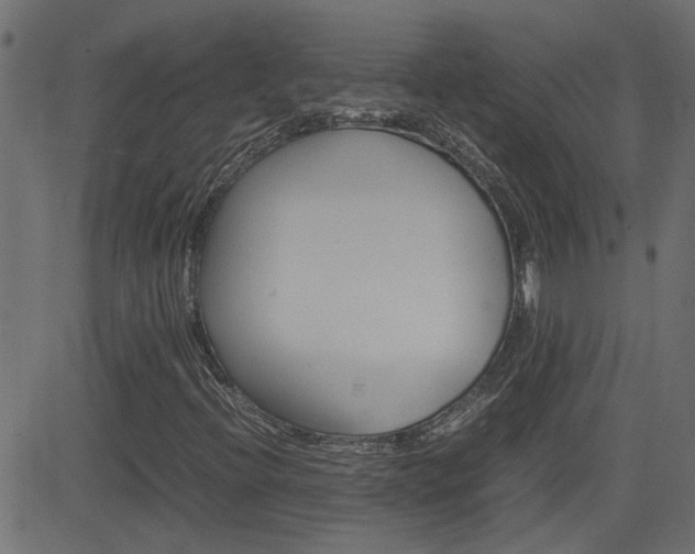 X0000082951396200702011036