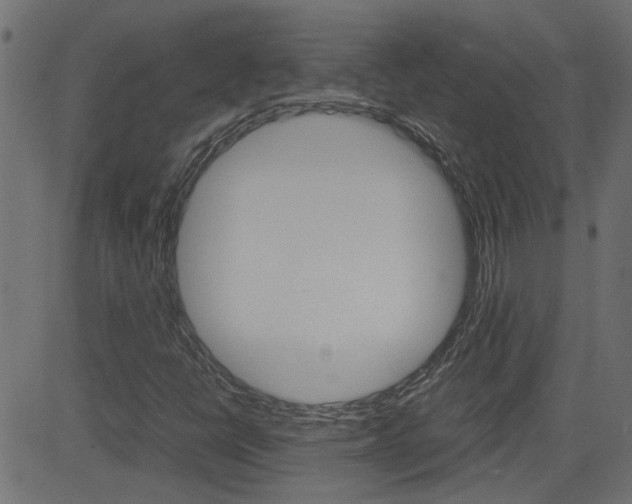 X0000082951398200702011036