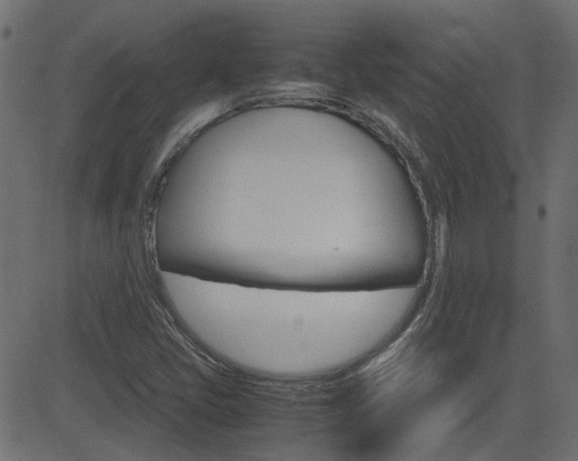X0000082951405200702011036