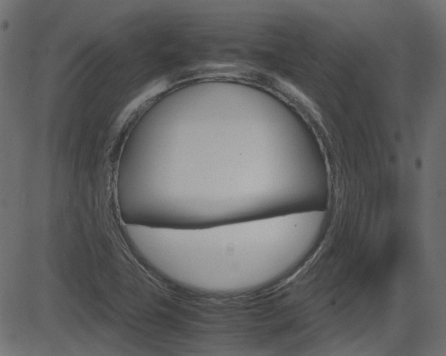 X0000082951411200702011036