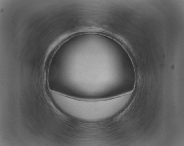 X0000082951414200702011036