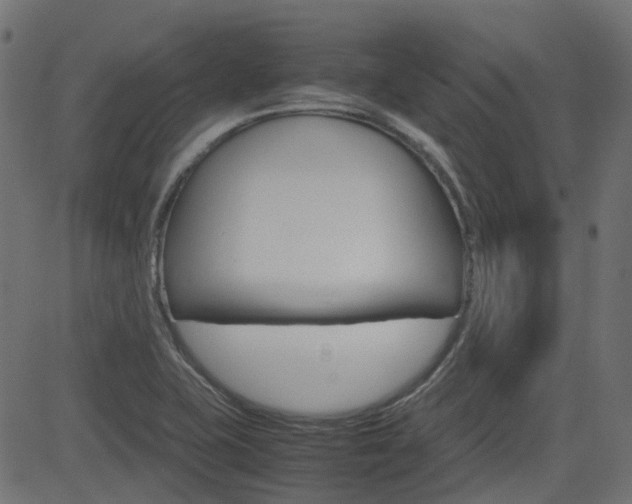 X0000082951415200702011036