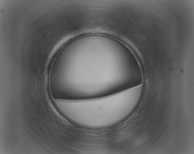 X0000082951416200702011036