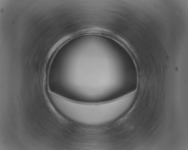 X0000082951418200702011036