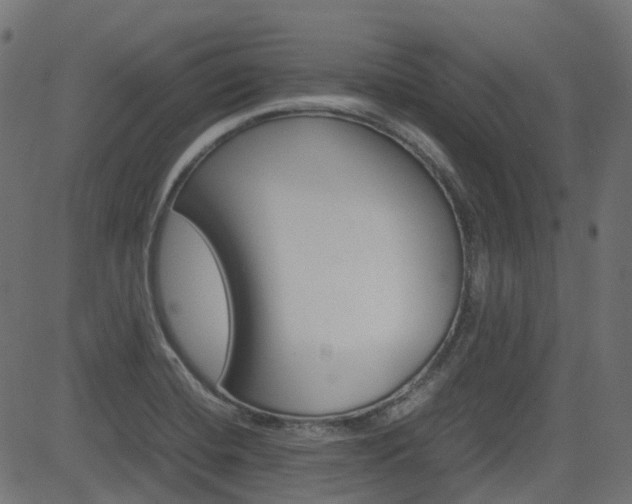 X0000082951420200702011036