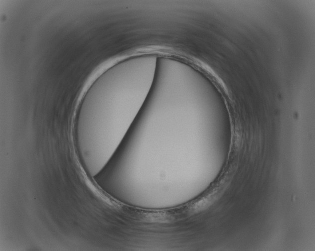 X0000082951421200702011036