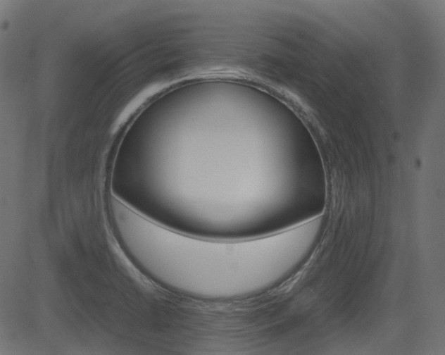 X0000082951422200702011036