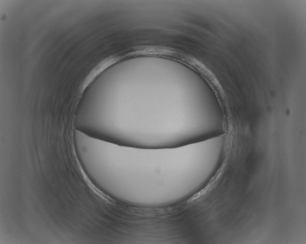 X0000082951425200702011036