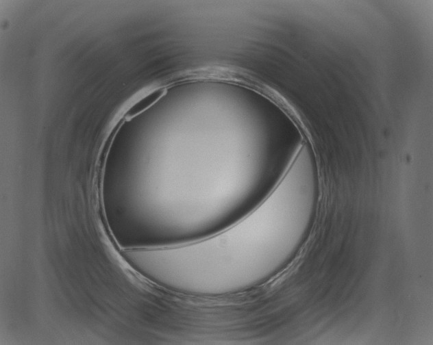 X0000082951434200702011037