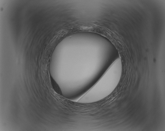 X0000082951441200702011036