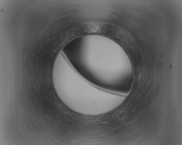 X0000082951442200702011036
