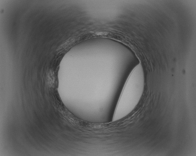 X0000082951443200702011036
