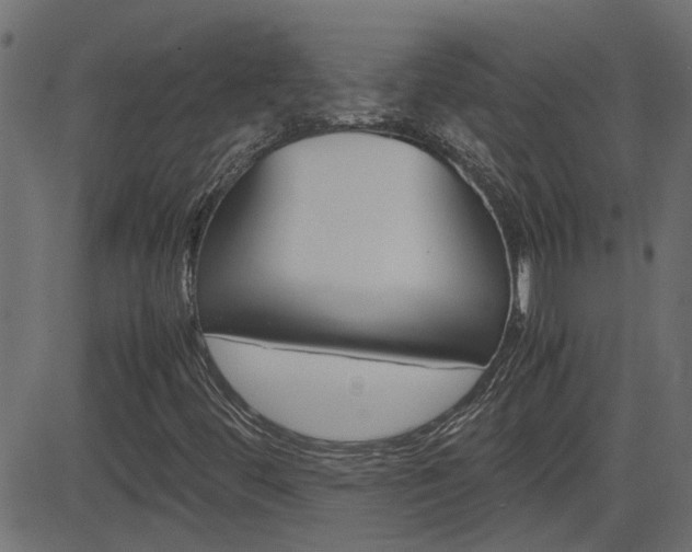X0000082951444200702011036