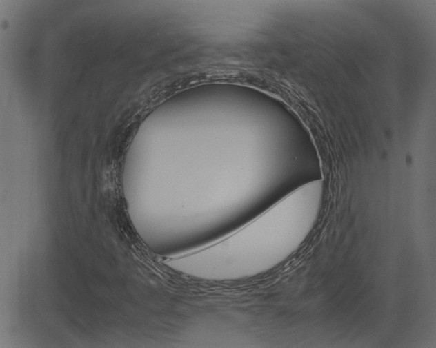 X0000082951445200702011036
