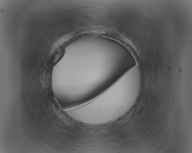 X0000082951448200702011036