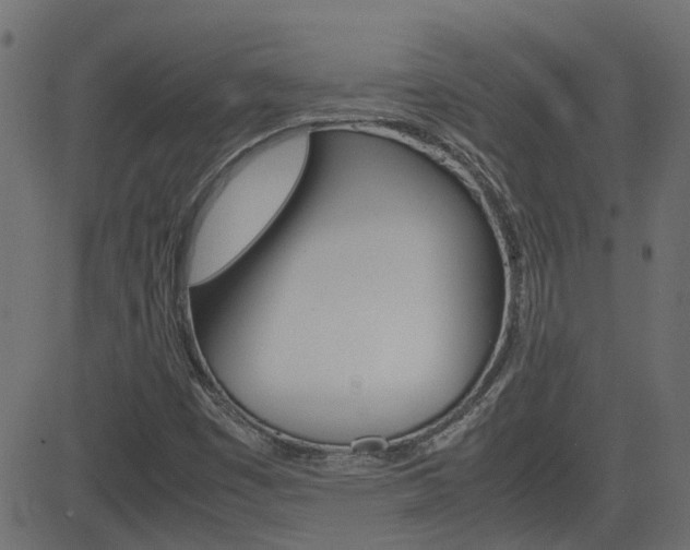 X0000082951449200702011036