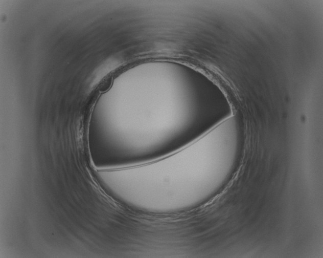 X0000082951450200702011036