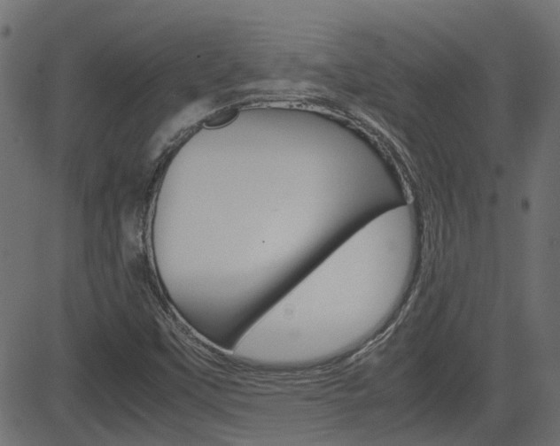 X0000082951451200702011036