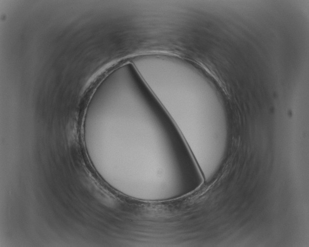 X0000082951452200702011036