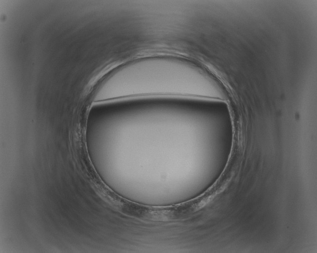 X0000082951453200702011036