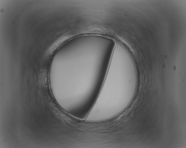 X0000082951455200702011036