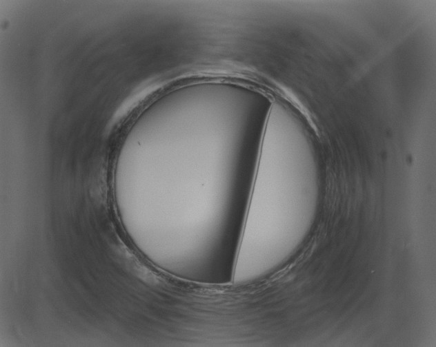 X0000082951456200702011036