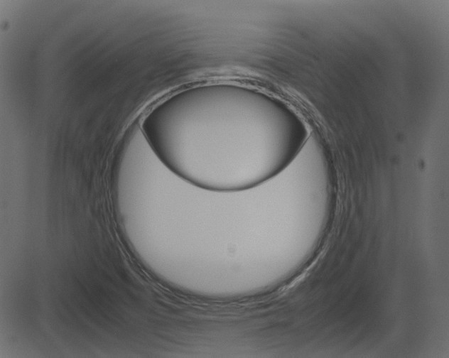 X0000082951457200702011036