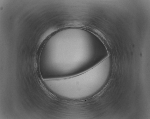 X0000082951458200702011036