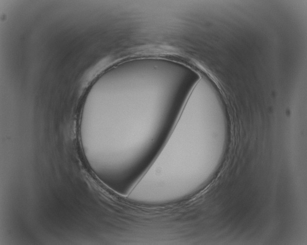 X0000082951459200702011036
