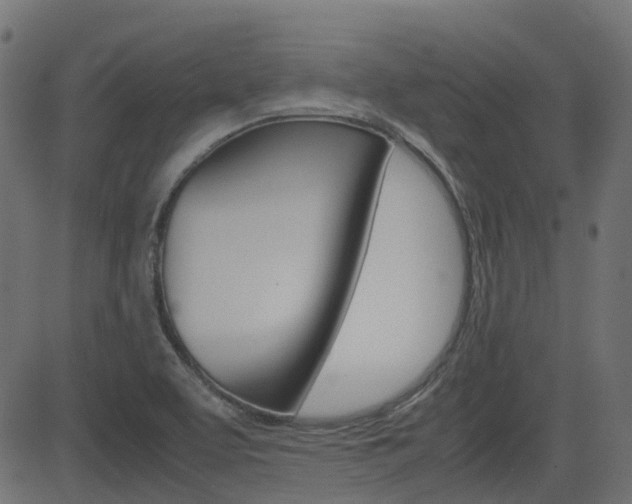 X0000082951463200702011036