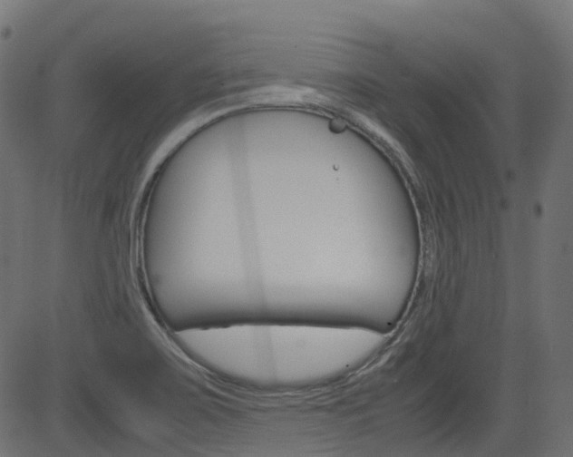 X0000082951467200702011035