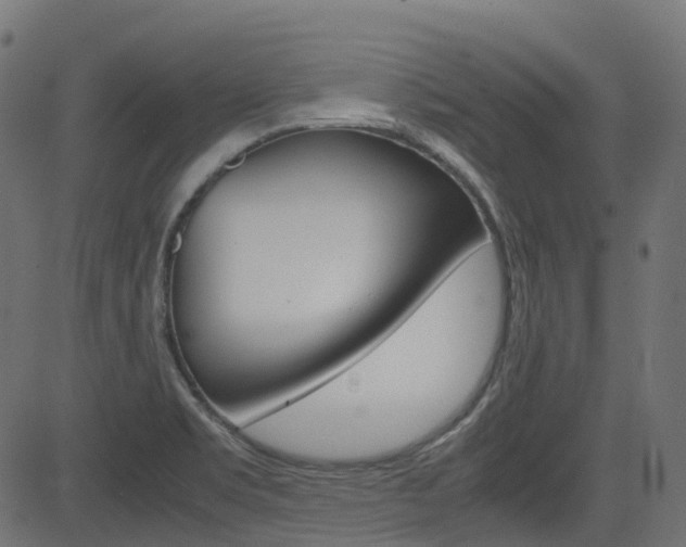X0000082951469200702011035