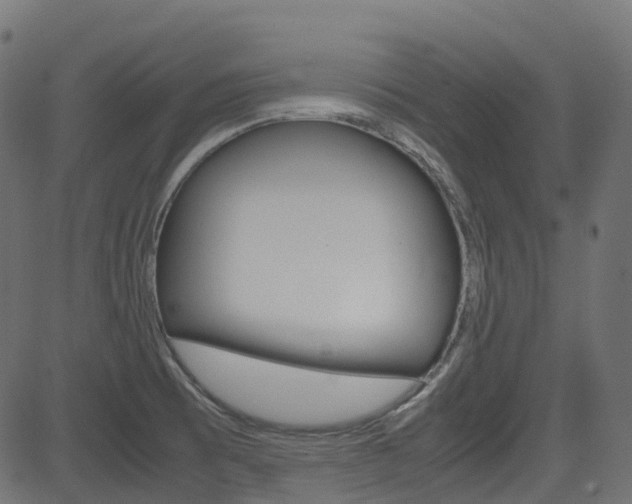 X0000082951473200702011035