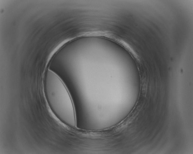 X0000082951476200702011035