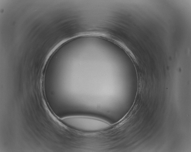 X0000082951484200702011035