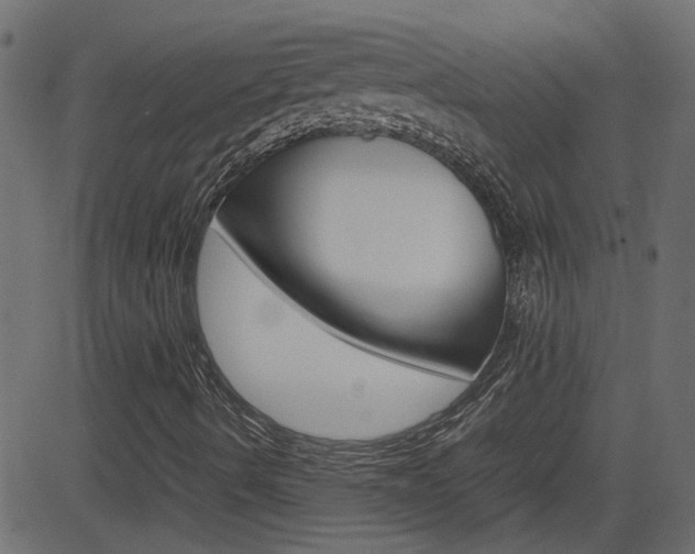 X0000082951490200702011034