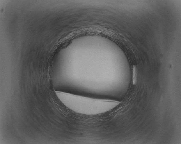 X0000082951491200702011034