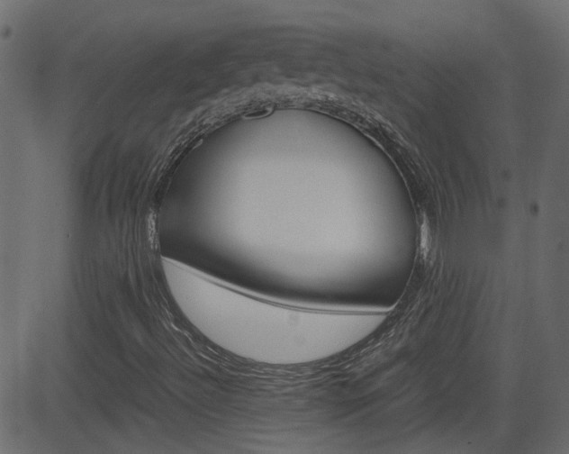 X0000082951492200702011034