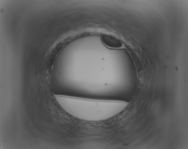 X0000082951495200702011034