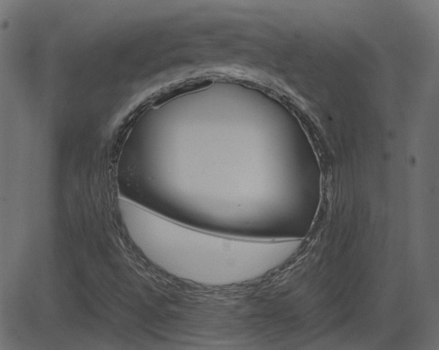 X0000082951496200702011034