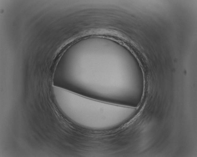 X0000082951497200702011034